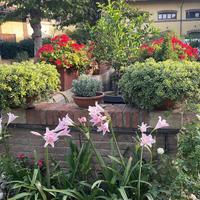 Guardiana dimora storica /villa