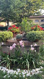 Guardiana dimora storica /villa