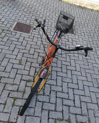 Bici vintage retro'