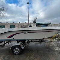 Open Elan 17 con Evinrude 90 cv e Carrello