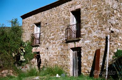 Terreno agricolo 8 ettari + rustico