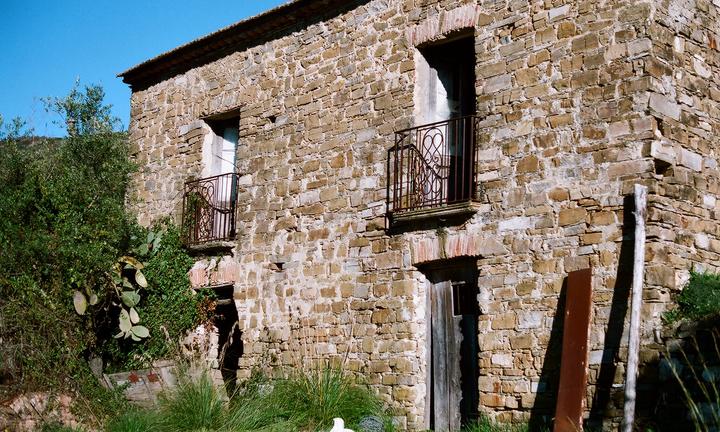 Terreno agricolo 8 ettari + rustico