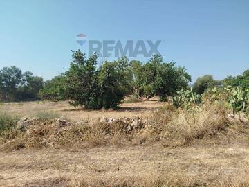 Terreno - Siracusa