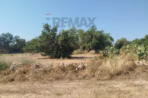 Terreno - Siracusa