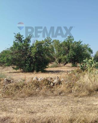 Terreno - Siracusa