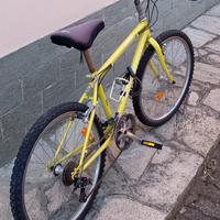 bicicletta mtb 26 pollici 