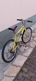 bicicletta mtb 26 pollici 