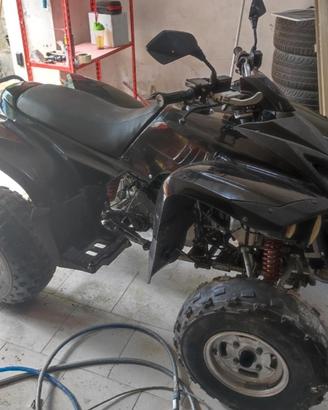 quad adly 220 targato no raptor 