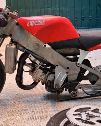 POLINI 910 LEGGERE DESCRIZIONE (RITIRO A MANO)