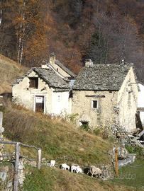 Rustico/Casale/Corte Varzo [FronNava0526VRG]