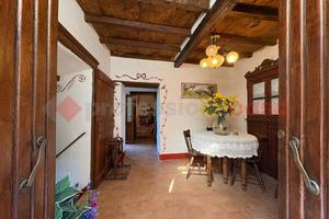 Terratetto Gallicano [UM166CVVRG]