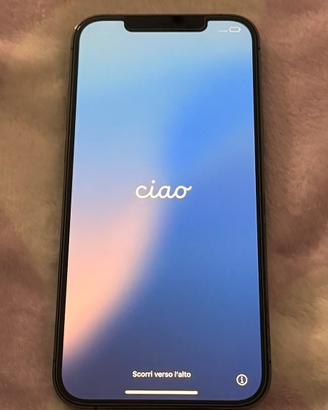 iPhone 12 Pro Max 128GB  Perfette Condizioni