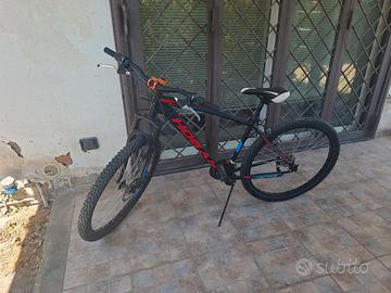 Mountain Bike Hogan