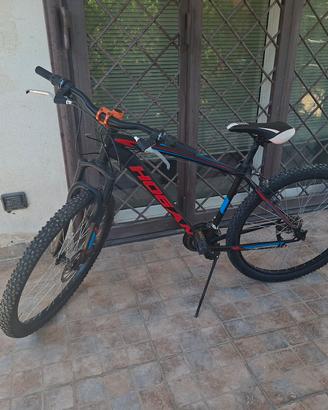 Mountain Bike Hogan