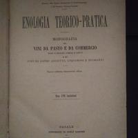 libro 1882 Ottavio Ottavi enologia 