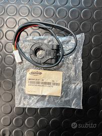 Interruttore 2 pulsanti Domini Aprilia Ducati