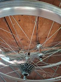 Ruote Campagnolo, Zonda, 