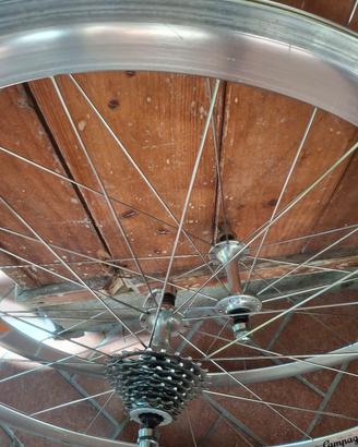 Ruote Campagnolo, Zonda, 