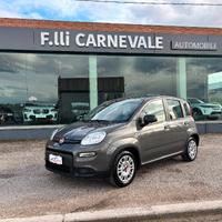 FIAT Panda 3ª serie Panda 1.0 FireFly S&S Hybrid