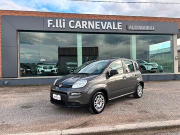 FIAT Panda 3ª serie Panda 1.0 FireFly S&S Hybrid