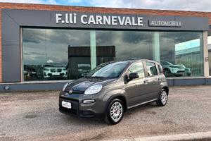 FIAT Panda 3ª serie Panda 1.0 FireFly S&S Hybrid