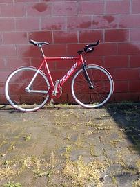 Bicicletta scatto fisso/pista