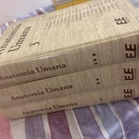 Anatomia Umana Volume 1-2-3 Edi Ermes 1982