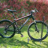 bici Carraro in carbonio