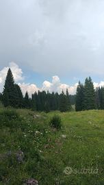 Bondo - Val di Breguzzo