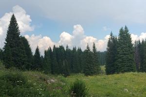 Bondo - Val di Breguzzo