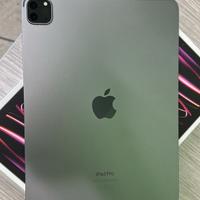 IPAD PRO 11 WIFI CL 256GB (4gen)