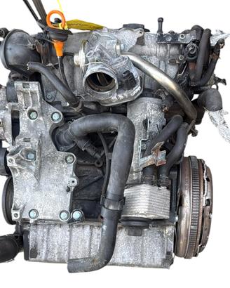 MOTORE COMPLETO VOLKSWAGEN Golf 5 Berlina BKD Dies