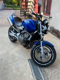 Honda Hornet