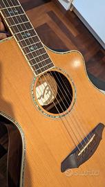 Chitarra acustica Breedlove Atlas Stage C250/GK 35