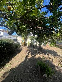 Rif 279 villaggio coppola soluzione indipendente