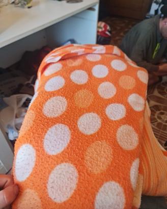 Coperta