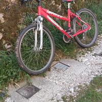 MTB Legnano 