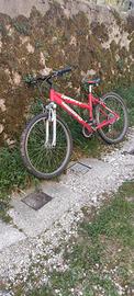 MTB Legnano 