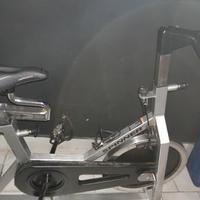 bike spinning schwinn