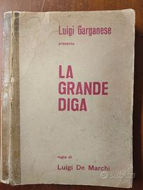Sceneggiatura film La grande diga 1962 Garganese