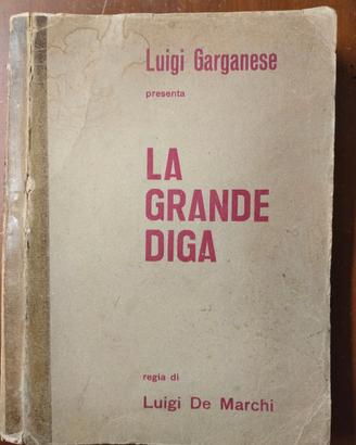 Sceneggiatura film La grande diga 1962 Garganese