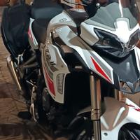 Benelli TRK 251