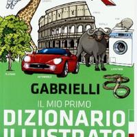 Dizionario italiano illustrato mondadori