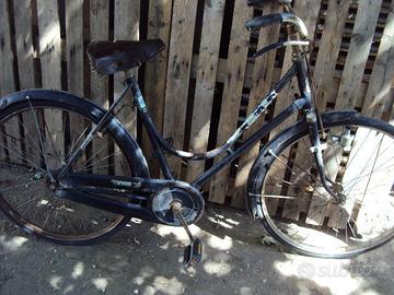 bicicletta vittoria?