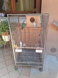 Disponibili una copia inseparabili