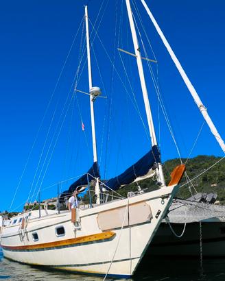 Catamarano Festina Lente- Golfo dei Poeti charter