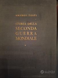 Storia della seconda guerra mondiale