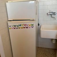 Frigorifero ignis 150x50x60