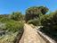 Immagine 25