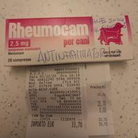 Antinfiammatorio e dolori
